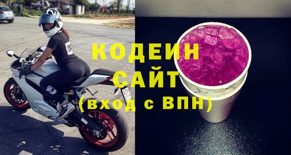 СК Каменногорск