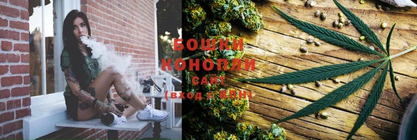 молекула духа Балахна