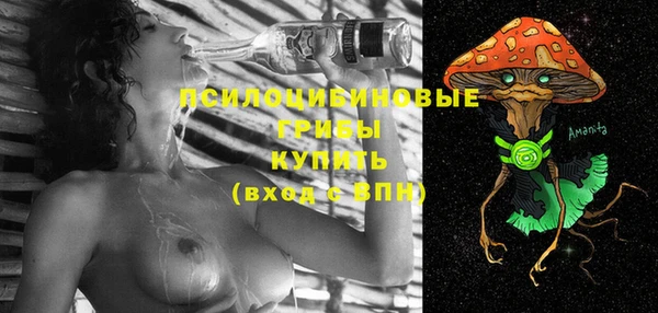 молекула духа Балахна