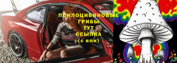 молекула духа Балахна